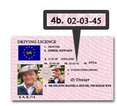 drivers licence
