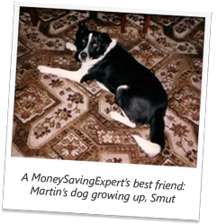 Got pets? Protect yourself from rocketing vet fees