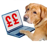 Got pets? Protect yourself from rocketing vet fees