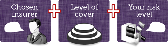 Chosen insurer, plus level of cover, plus your risk level