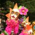 Festival Festival picture