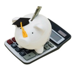 picture of piggy bank on calculator