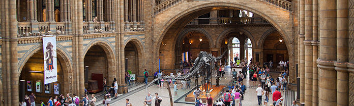 natural history museum