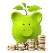 Green tax free ISA Piggybank growing your money