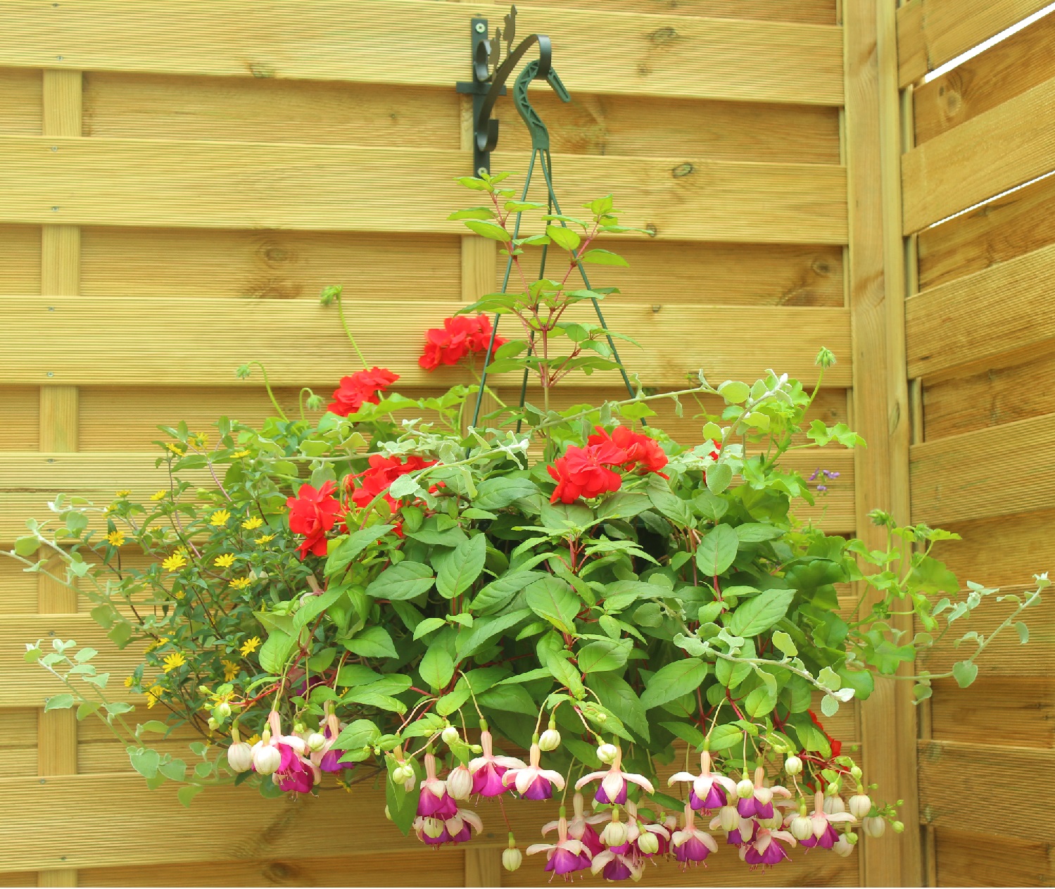 Jersey Plants Direct voucher codes, Discount codes & Deals Money