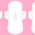 14 sanitary product savers