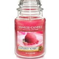 &pound;45 Yankee Candle gift set &pound;23