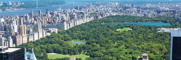 traveling to new york city