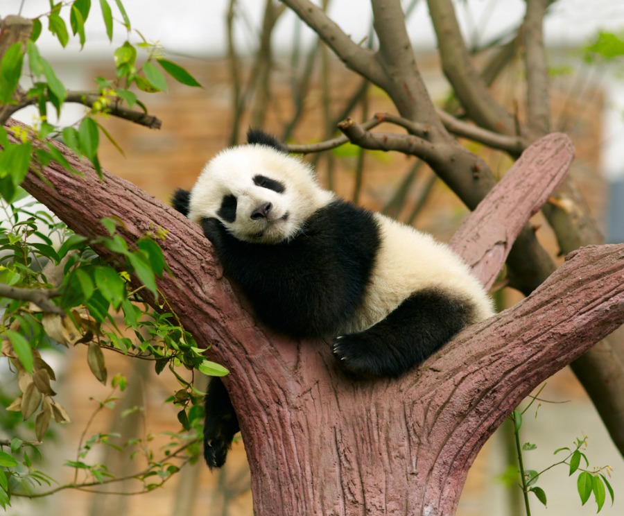Zoo Deals