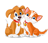 pet insurance
