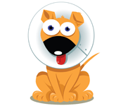 Pet Insurance