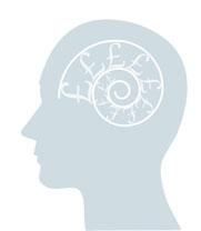 brain inside head