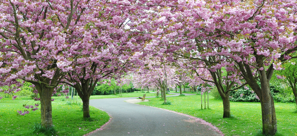 Spring outside