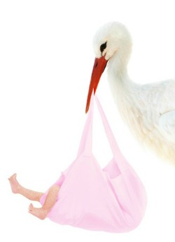 picture of stork with baby